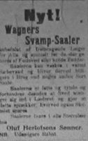59. Annonse fra Oluf Herlofsens sønner II i Møre Tidende 14. januar 1899.jpg
