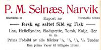 201. Annonse fra P.M. Selnæs under Harstadutstillingen 1911.jpg