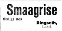 259. Annonse fra Ringseth på Lund i Indhereds-Posten 31.1.1921.jpg