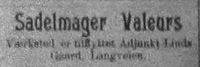 67. Annonse fra Salmaker Valeur i Møre Tidende 14. januar 1899.jpg