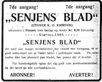 21. Annonse fra Senjens Blad i Harstad Tidende 3. juli 1913.jpg