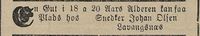 17. Annonse fra Snedker Johan Olsen, Lavangsnes i Tromsø Amtstidende 19.06. 1889.jpg