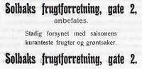 32. Annonse fra Solbaks frugtforretning i Narvikboka 1912.jpg