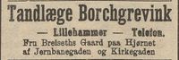 292. Annonse fra Tandlæge Borchgrevink i Gudbrandsdølen 22.04.1909.jpg