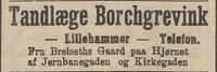 314. Annonse fra Tandlæge Borchgrevink i Gudbrandsdølen 22.04.1909.jpg