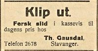 96. Annonse fra Th. Gausdal i Flekkefjord-Posten 23.01. 1919.jpg