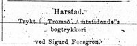 219. Annonse i Tromsø Amtstidende 4. januar 1900.jpg