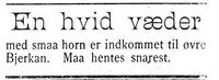261. Annonse om en funnet vær i Indtrøndelagen 31.8. 1900.jpg