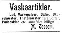 437. Annonsse II fra M. Tessem i Indtrøndelagen 16.11. 1900.jpg