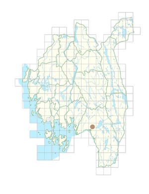 Anthriscus cerefolium.png