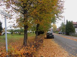 Anton Tschudis vei Oslo 2013.jpg
