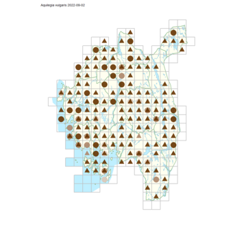 Aquilegia vulgaris.png