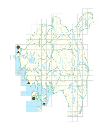 Arabis hirsuta var. glaberrima.png