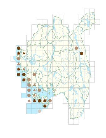Arabis hirsuta var. hirsuta.png
