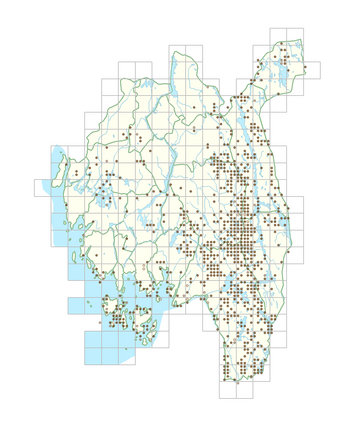 Arctostaphylos uva-ursi 1.png