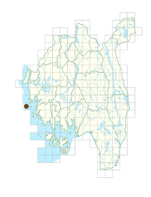 Arenaria serpyllifolia subsp. lloydii.png