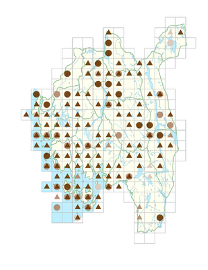 Arenaria serpyllifolia subsp. serpyllifolia.png