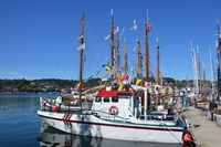 Aril RS 93 Foto: Heidi Thöni Sletten (2015).