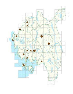 Aronia melanocarpa.png