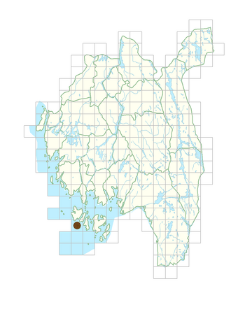 Artemisia dracunculus.png