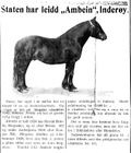 Avlshingsten Ambein fra Inderøy i 1933