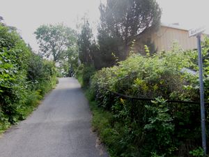 Asalveien Oslo 2013.jpg