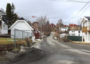 Asaveien Bærum 2016.jpg