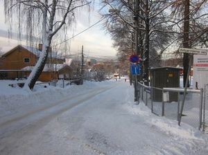 Asbjørnsens vei Oslo 2012.jpg