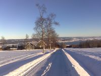 Askjumgutua midtvintersdagen 2013