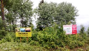 Askjumlia tomteselgere.jpg