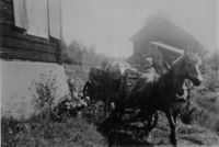 248. Aspesetra på Fiskum, hest og kjerre (oeb-201401).jpg