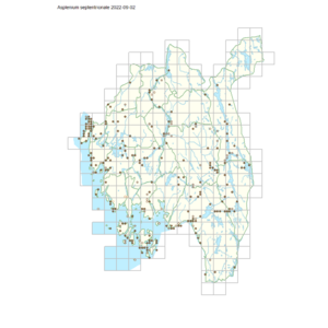 Asplenium septentrionale 1.png