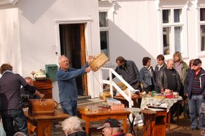 Auksjon Johnsen tine.jpg