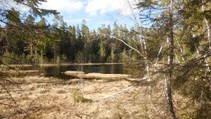 Auretjern (be-2015-05-14-DSCN2538).JPG