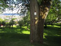 Motiv fra hageanlegget ved Austad gård. Foto: Stig Rune Pedersen