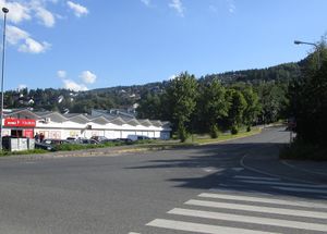 Austadveien Drammen 2015.jpg