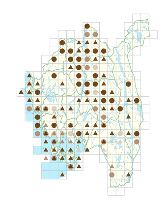 Avenula pubescens.png