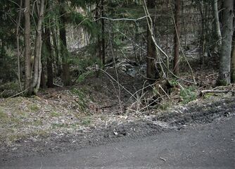 Sett mot nord fra vegen mellom Sokkadammen og Bårsrudtjernet (Foto: Arne Myrvang 2019)
