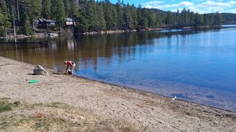 Bæreia, Kongsvinger 2025.jpg