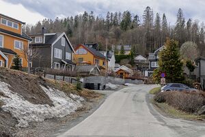 Bærum Åses vei 240413.jpg