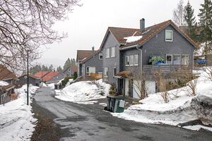 Bærum Andrine Trulsruds vei 240325.jpg