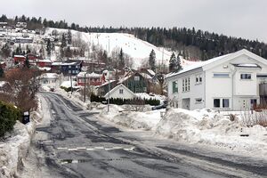 Bærum Børjerlia 240224.jpg