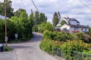 Bærum Bergsvingen 230613.jpg