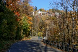 Bærum Bjørnegårdsvingen 231019.jpg