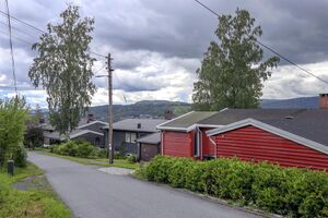 Bærum Blåknappen 230725.jpg