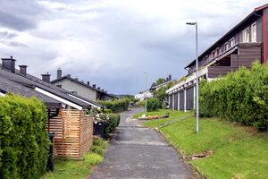 Bærum Blekksoppgrenda 230725.jpg