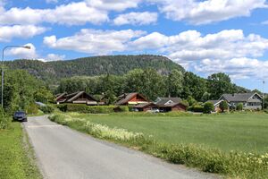 Bærum Brennejordet 230623.jpg