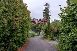 Bærum Dybwadbakken 230620.jpg