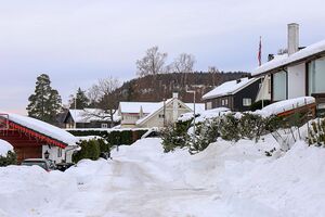 Bærum Furusetlia 240112.jpg