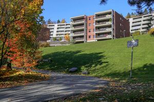 Bærum Hamangskogen 231019.jpg